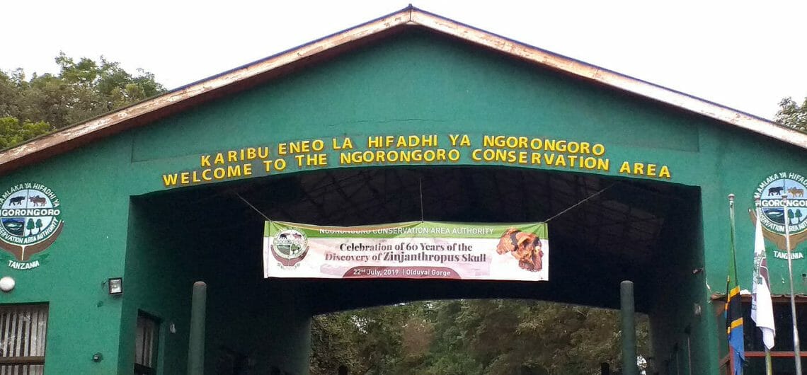 Ngorongoro Crater- Home Of A Famous Artifact And Wildlife