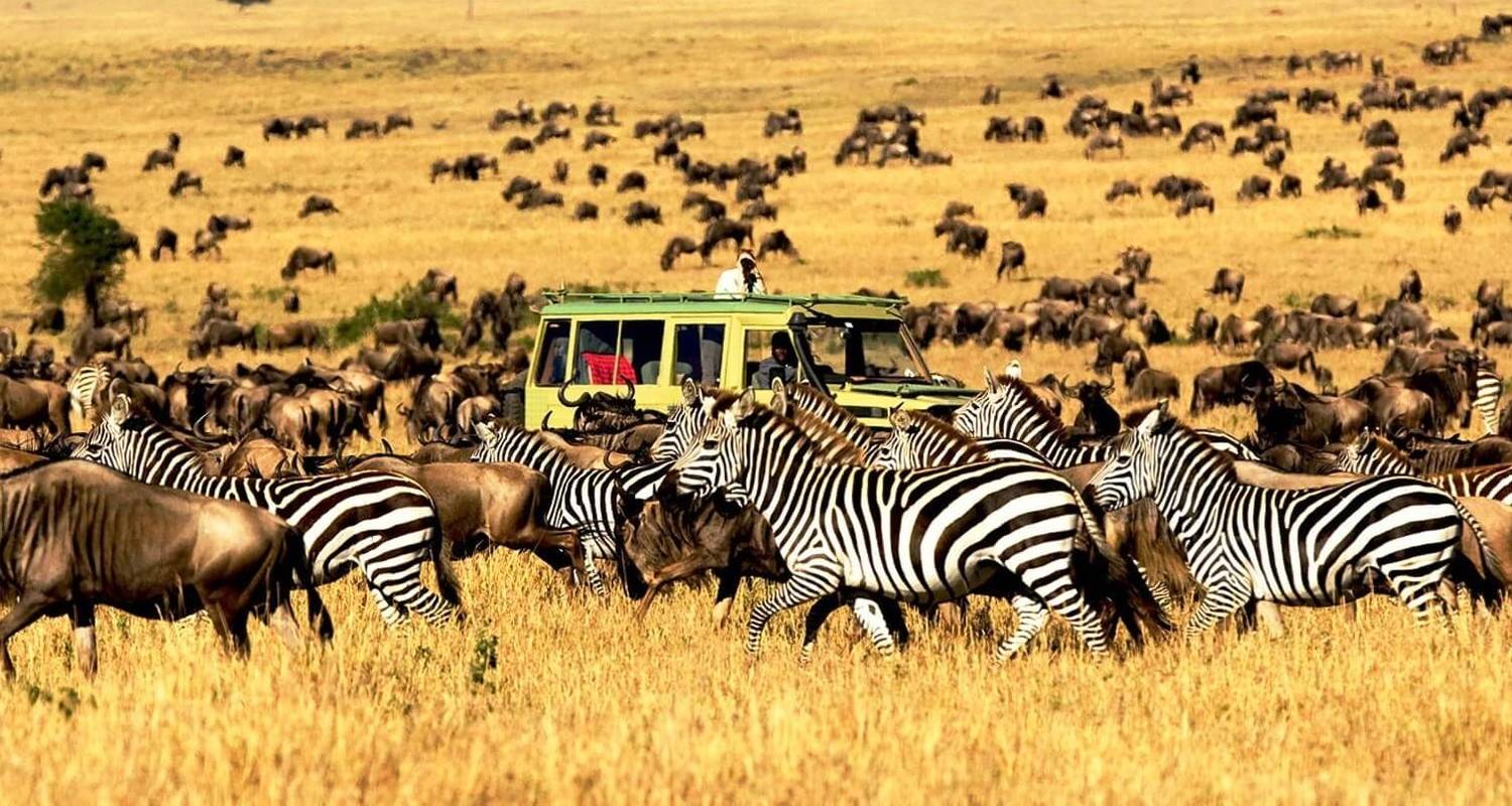 Two Day Safari Itinerary- Perfect Package For Your Limited Budget And Vacation Time