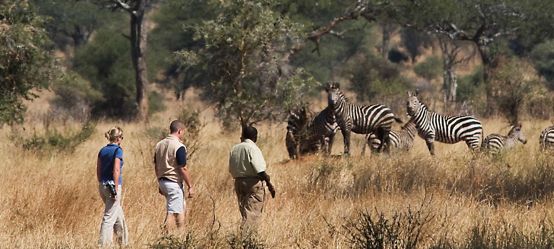 2-Day Budget Safari Tarangire National Park In Year 2022