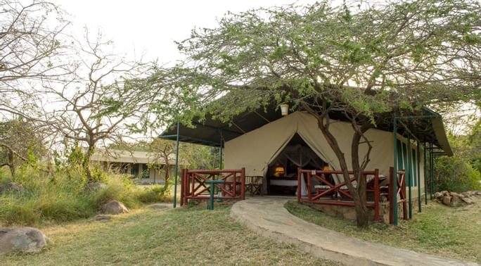 The Serena Mbuzi Mawe Tented camp exterior surrounded with trees