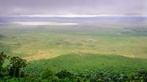 The Ngorongoro Conservation Area, with its lush green grass, trees, and distant water