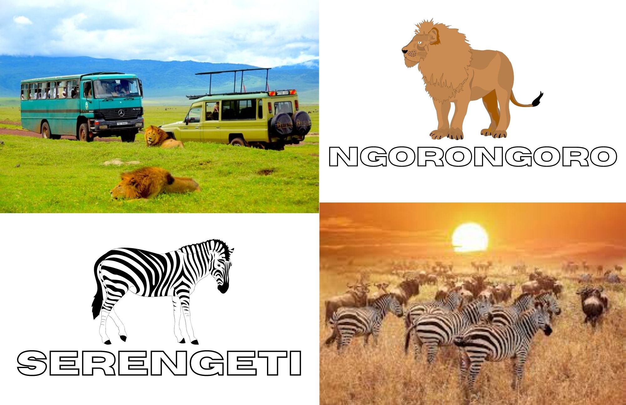 The Ngorongoro Crater in the upper left corner and the Serengeti in the lower right corner, including zebra and lion artwork