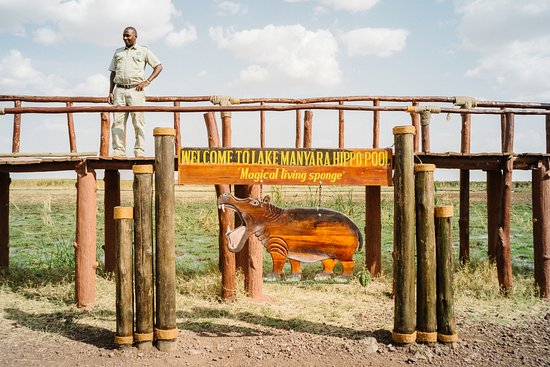 Lake Manyara National Park- The Ideal Location For Your Extended Year Vacation In 2022