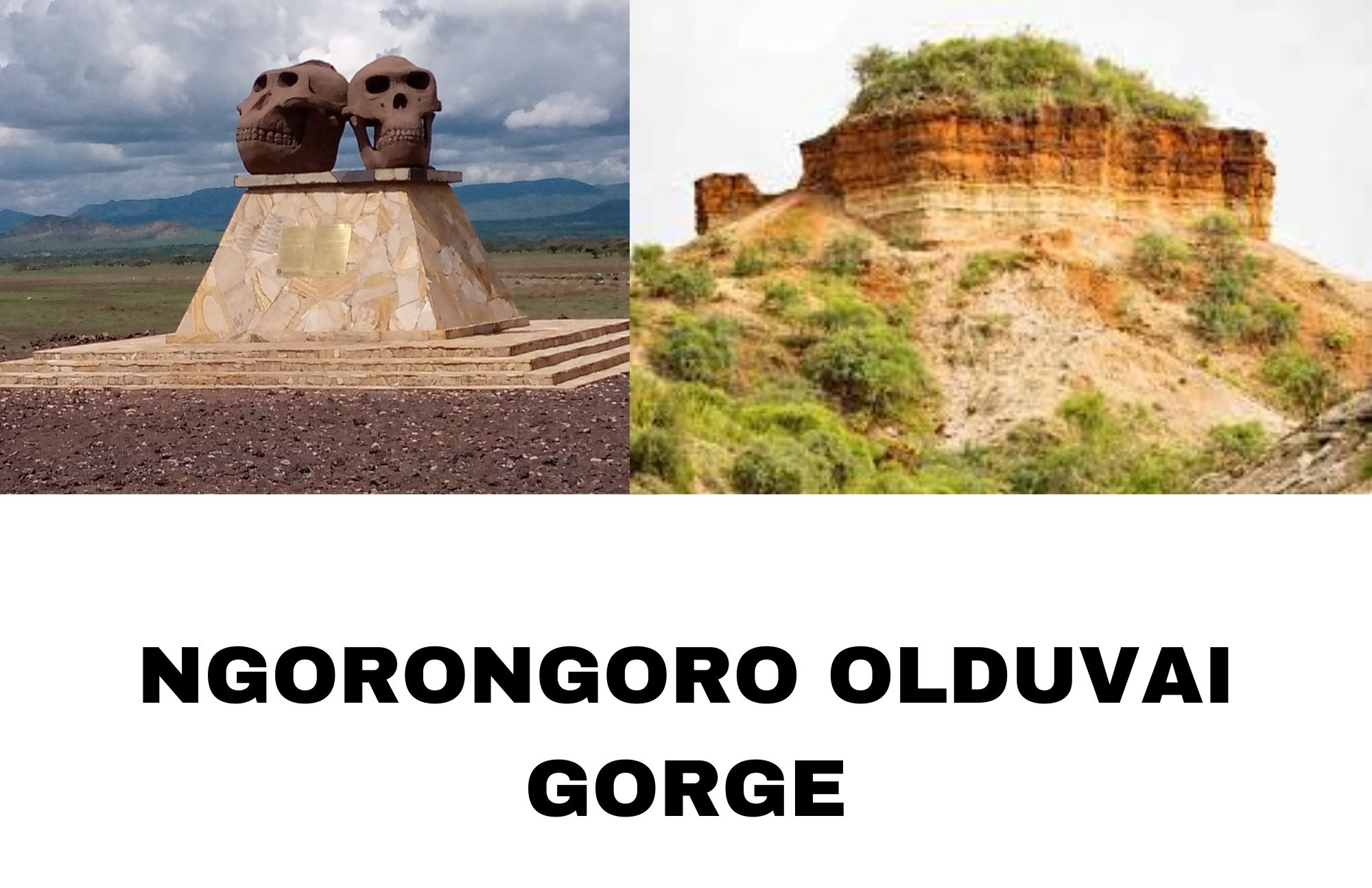 Olduvai Gorge replicas on the left and the real artifact on the right