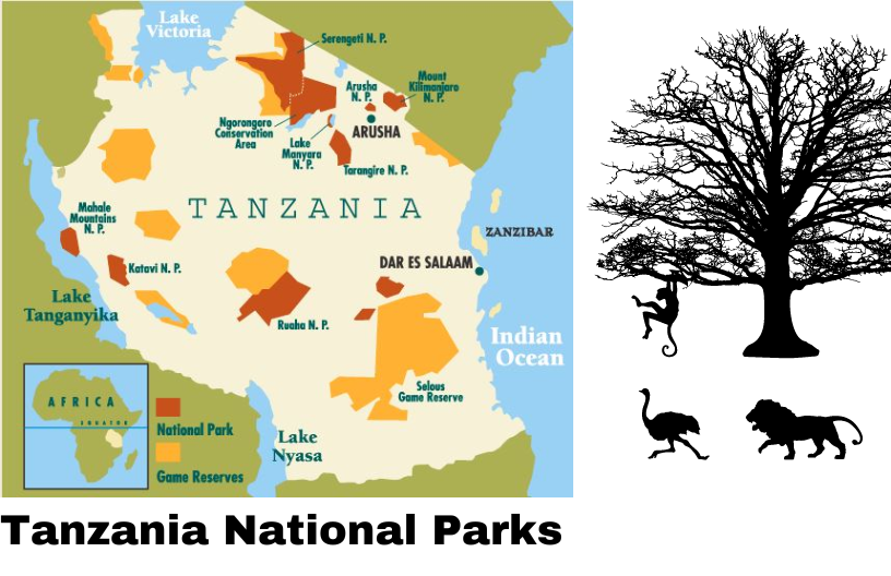 Five Tanzania's National Parks And Their Main Attractions