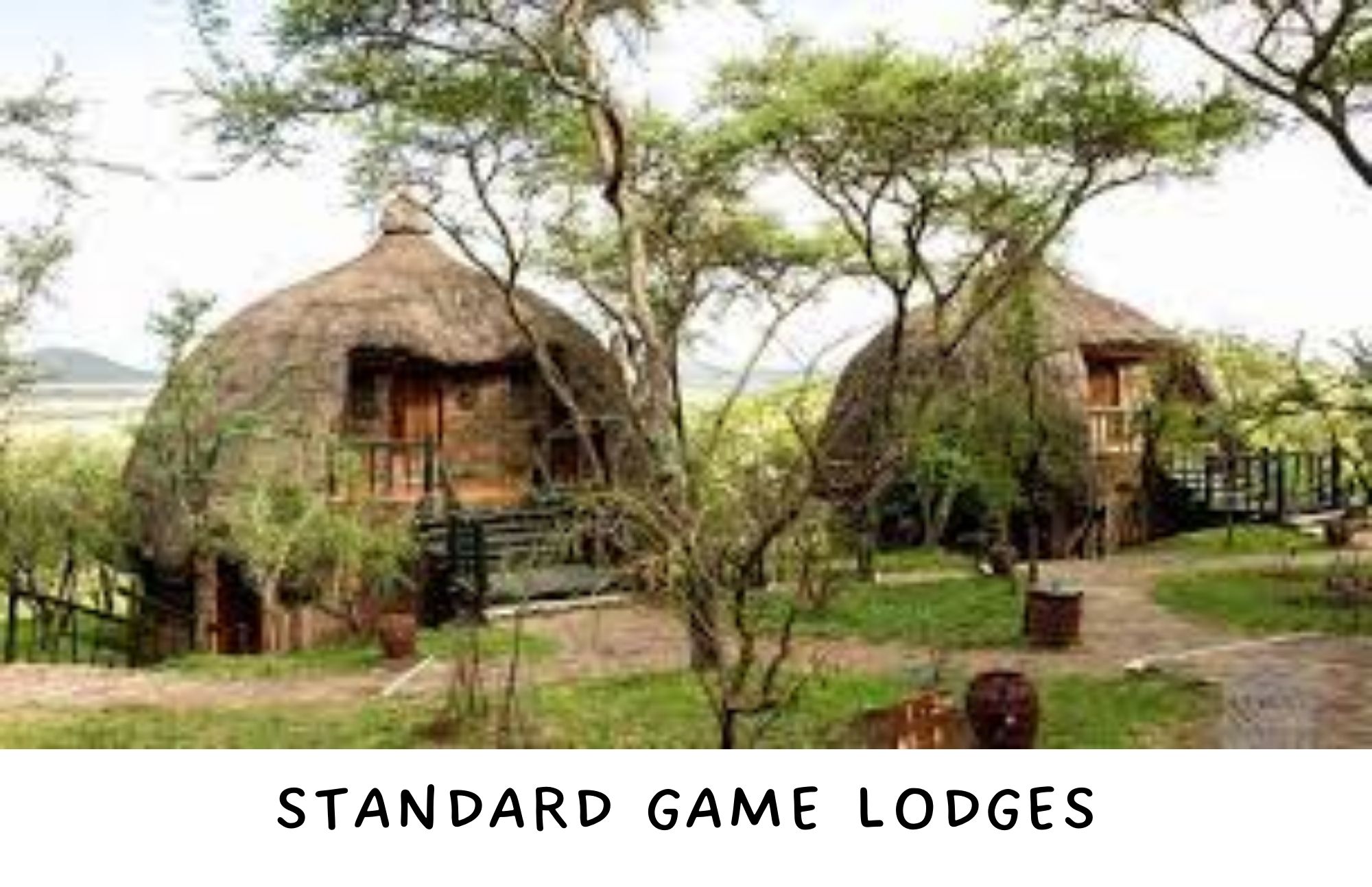 There are two standard nipa hut lodges with trees and grasses outside