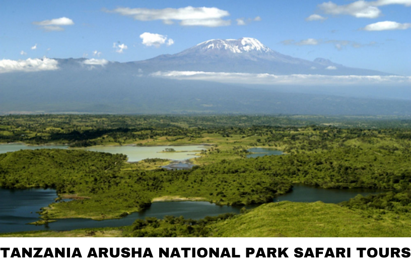 Arusha National Park Safari Tours- A Guide And Ideas For Their Trekking Packages
