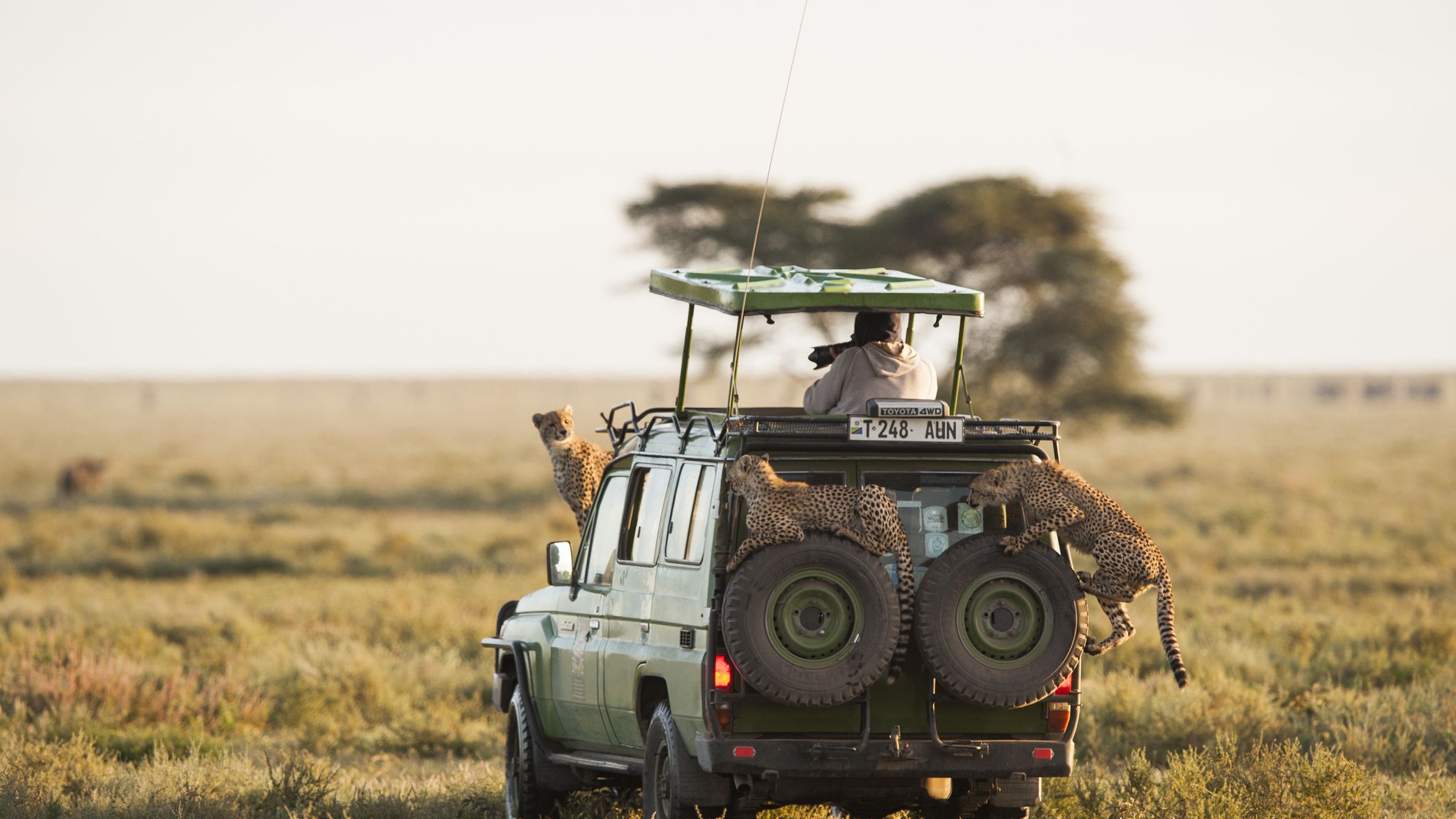 Five-Day Safari Itinerary- Explore The Safari In Less Than A Week