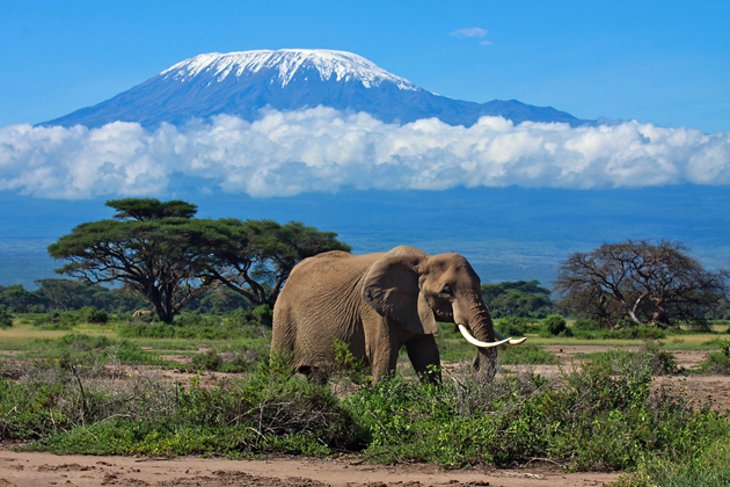 Follow These Informational Traveling Tips When Visiting Tanzania