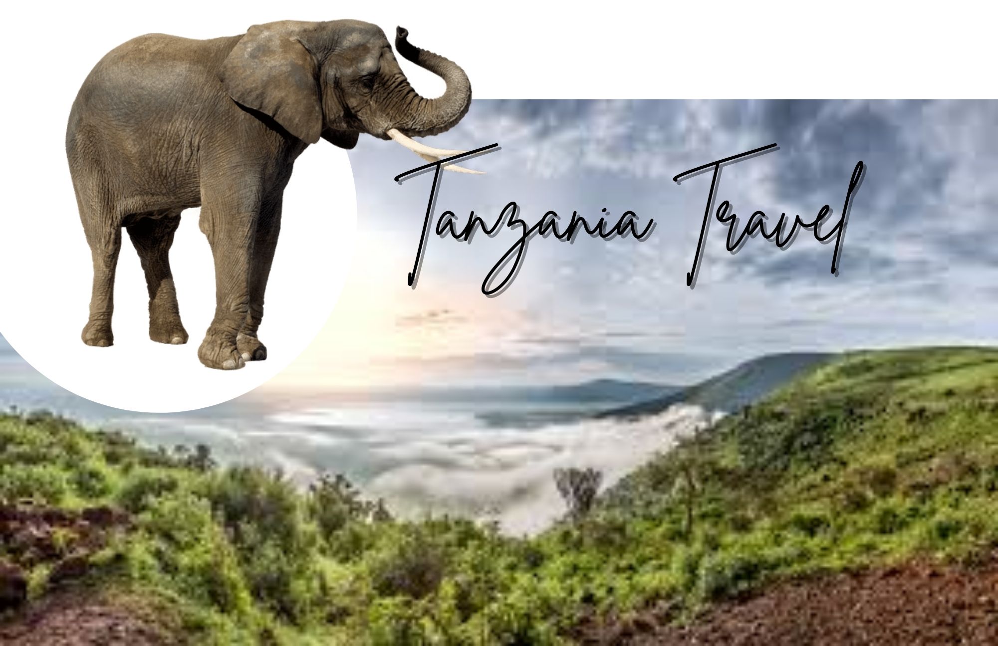 Tanzania Travel Information- Ideal Dates And Accommodation Prices In 2022