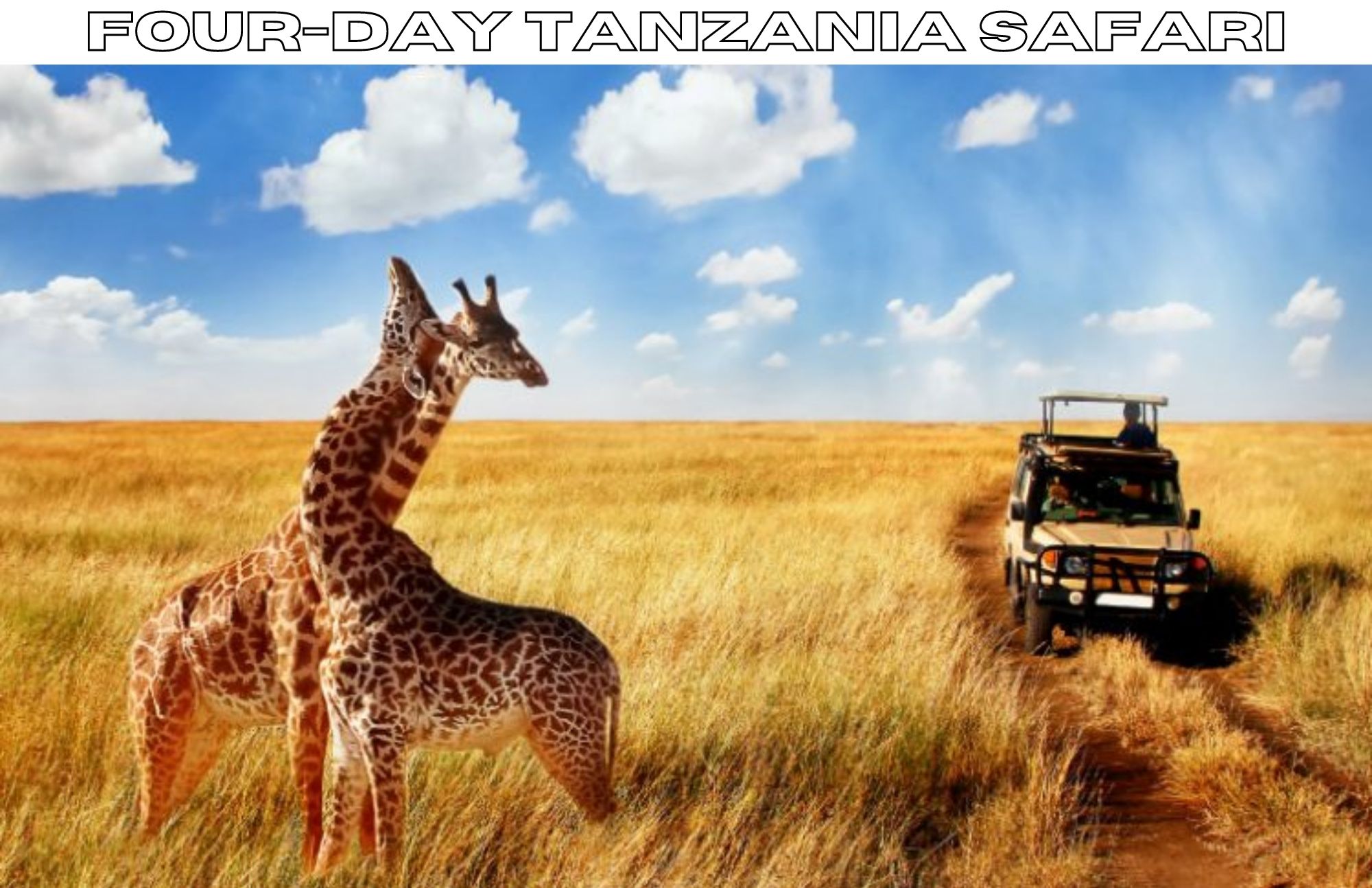 Four-Day Safari Itinerary- Uncovering The Beauty Of Wildlife On A Four-Day Vacation In Tanzania