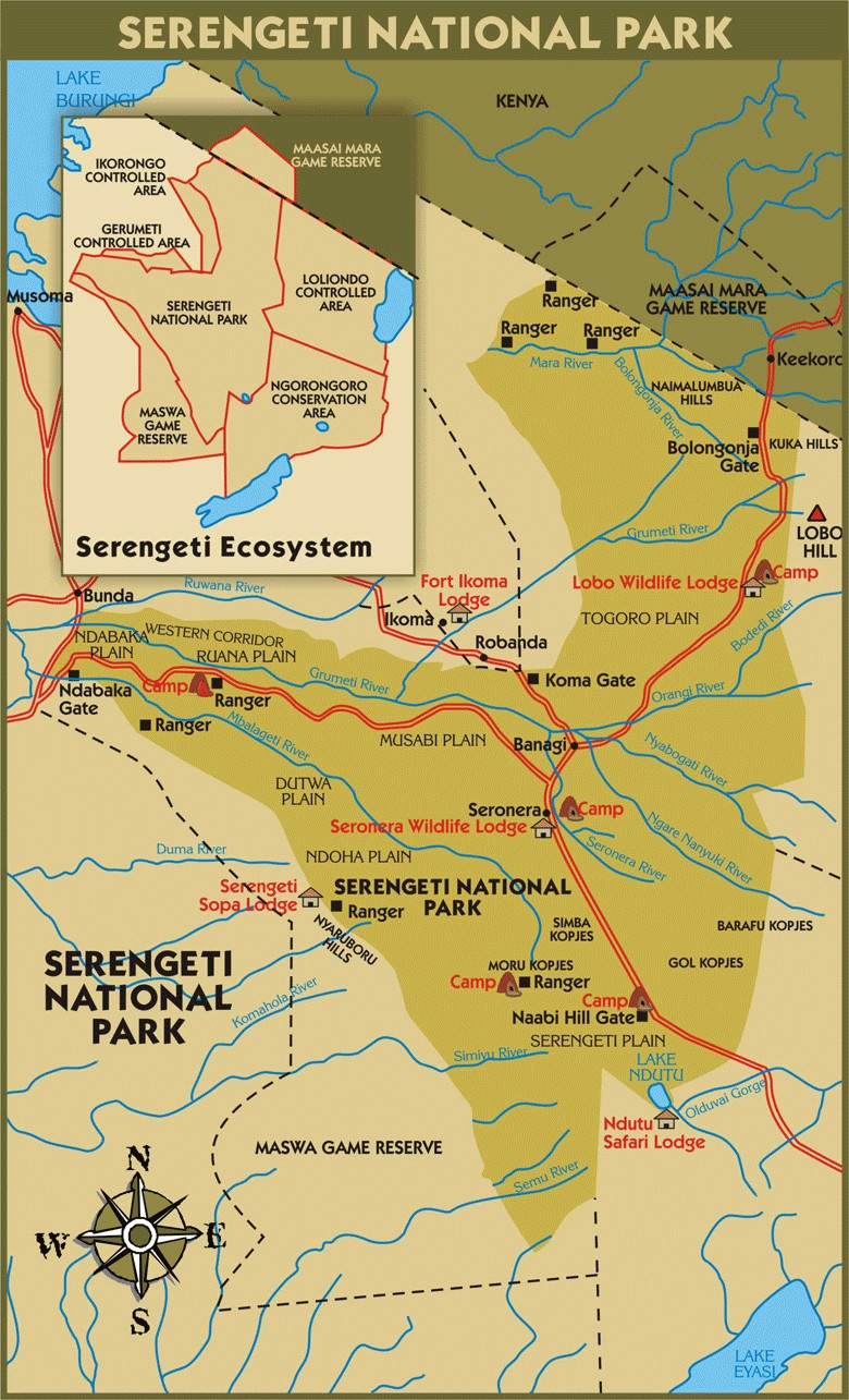 Sample of serengeti national park guide