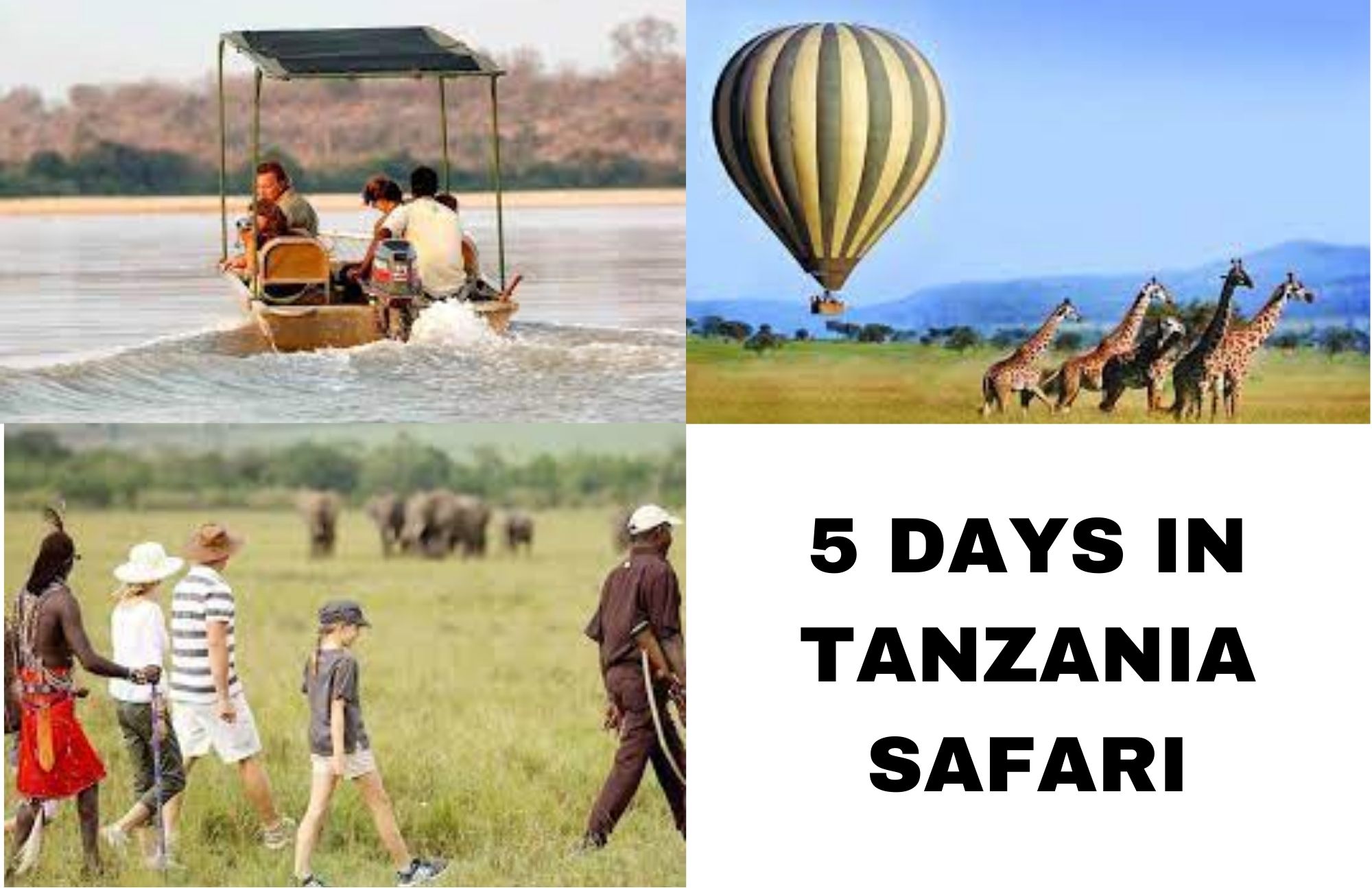 5 Days Safari Prices- Calculate How Much A Five-Day Tanzania Safari Will Cost You