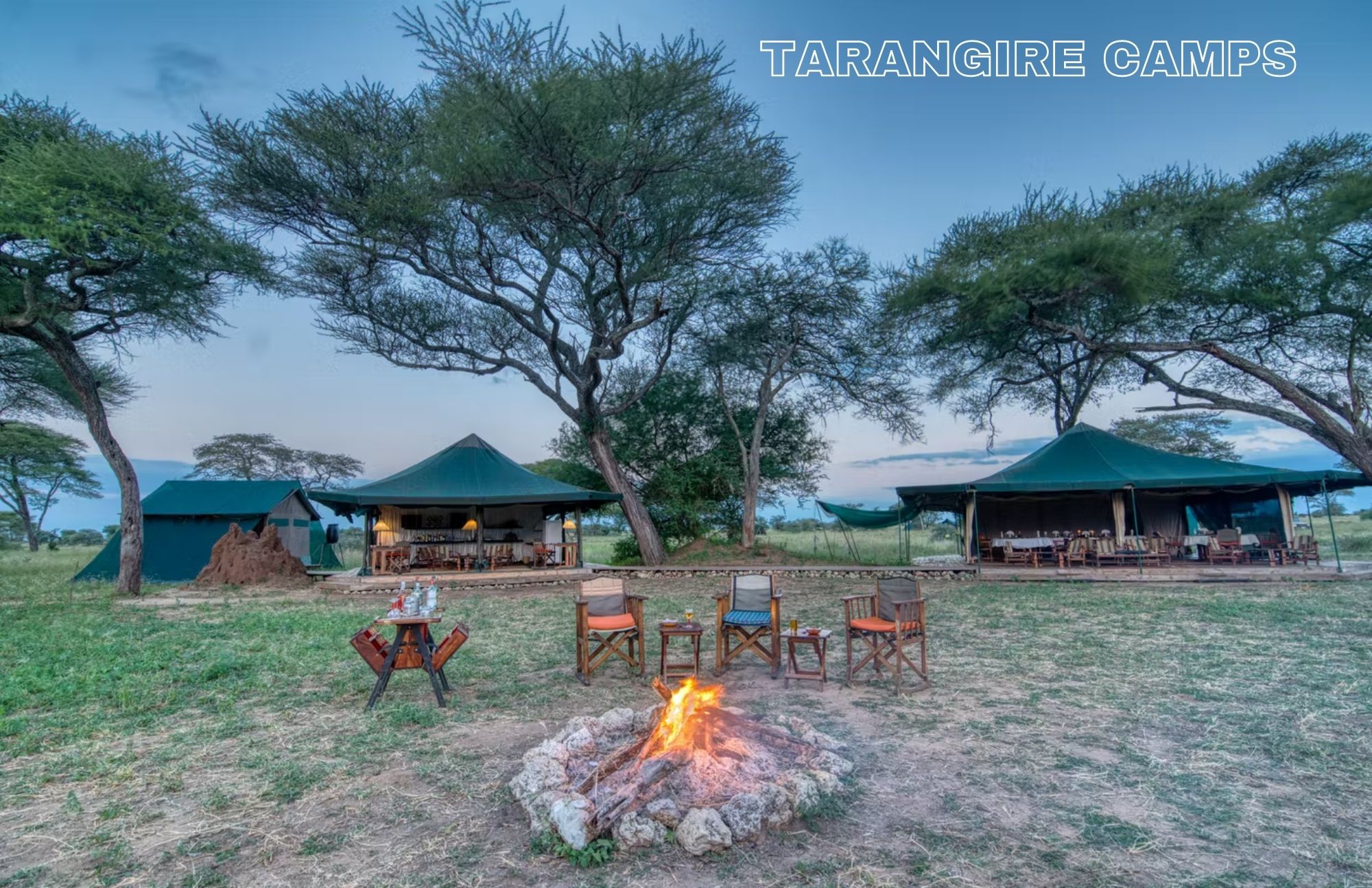 Tarangire National Park's accommodation camps feature large, expansive trees and a campfire