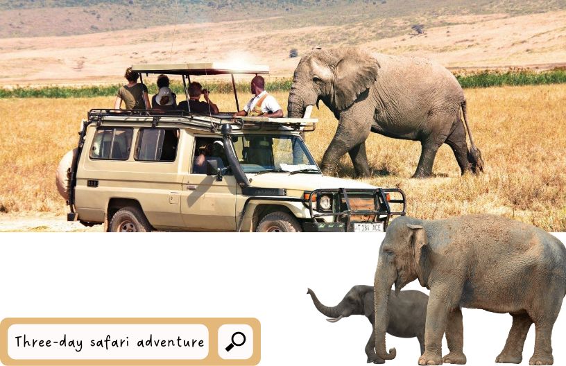 Three Day Itinerary-Package Deal For Three Of Tanzania's Most Popular Safari Destinations