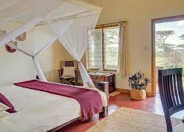 The Ndutu Lodge Standard room with a queen-sized bed, a chair, and a plant next to the door