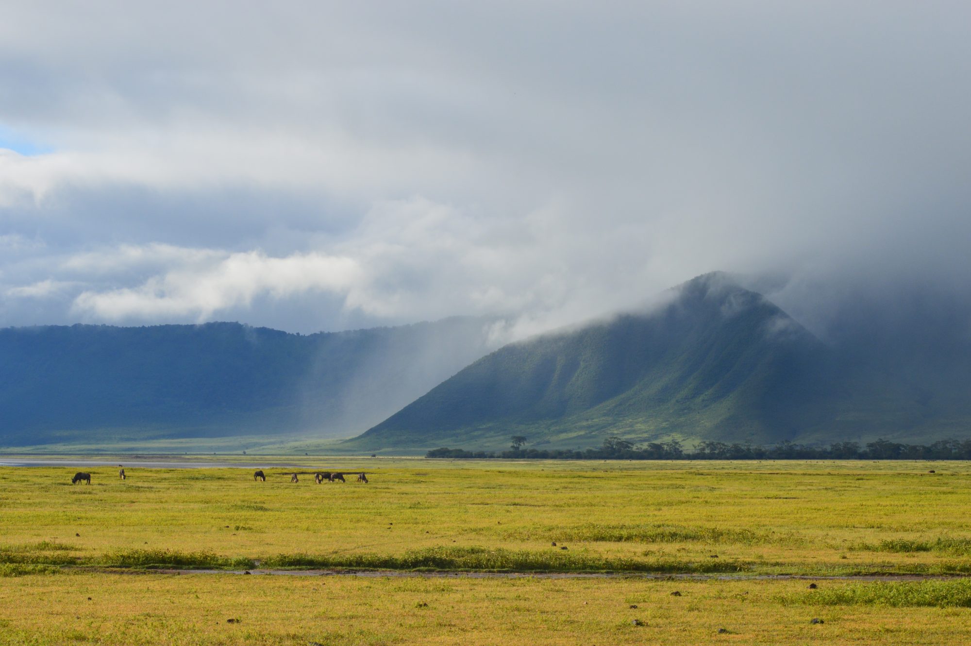 The Lake Eyasi Ngorongoro with its distant animals and the large mountain shrouded in clouds and fog