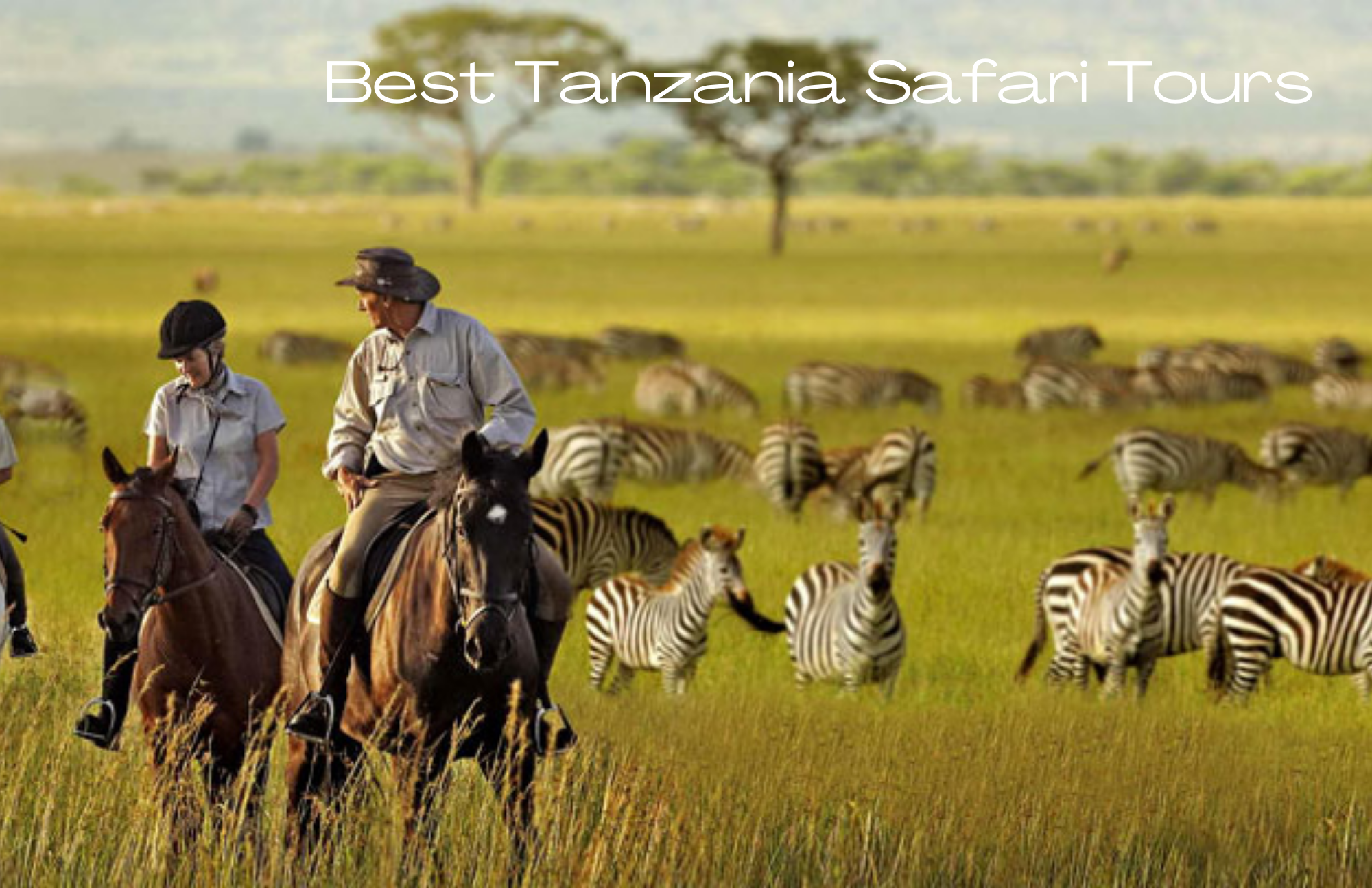 Best Tanzania Safari Tours - Check Out These 3 Places You Must Visit!