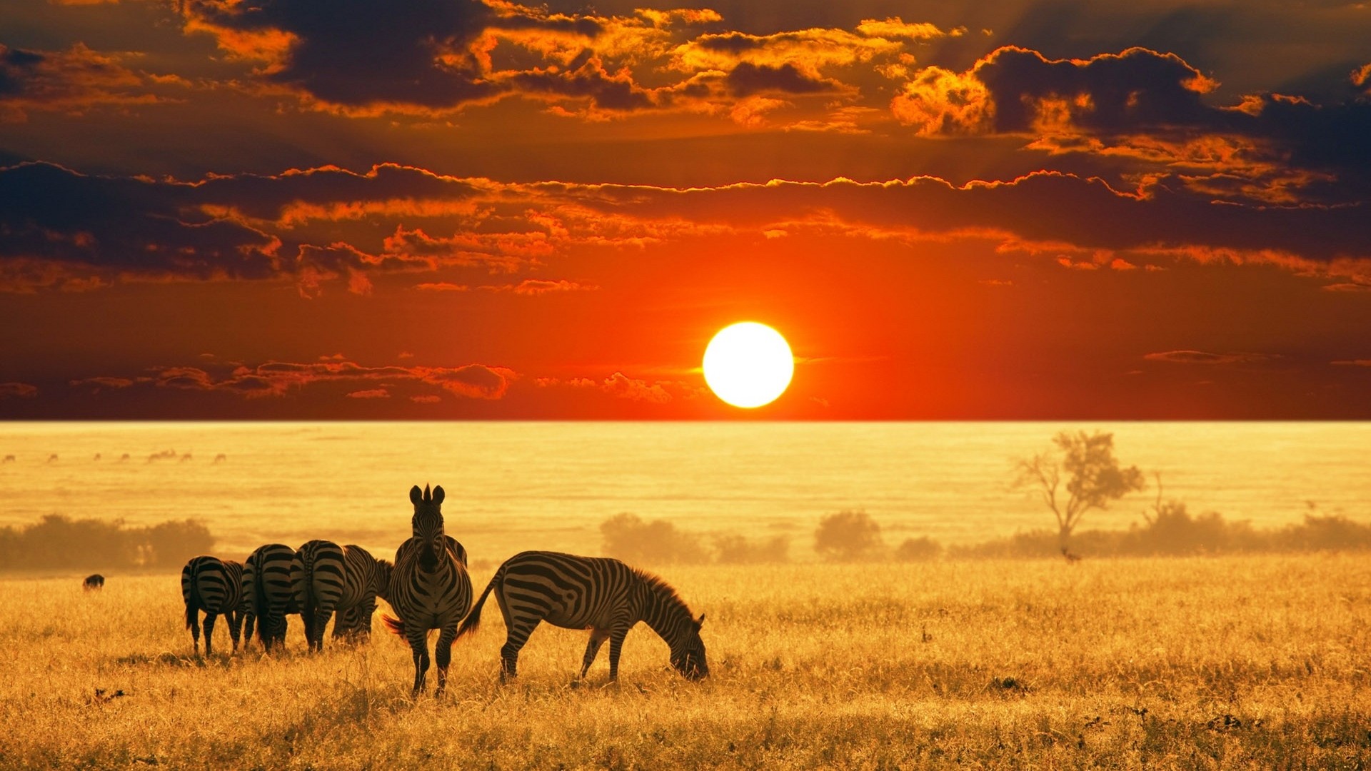 Adventure Tourism In Safaris - An Ultimate Guide For Thrill-Seeking Travelers