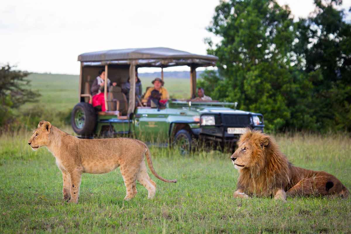 Tourism Policies And How Affect Safaris